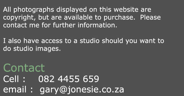 contact page